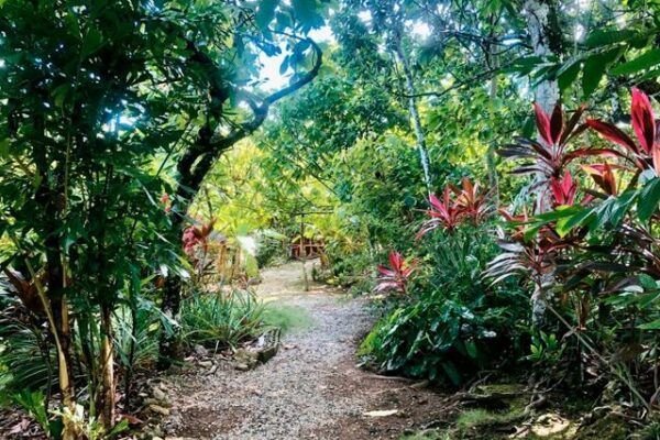 Adventura Dominicana All Inclusive a Macao