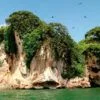 Mega program Samana - Image 3