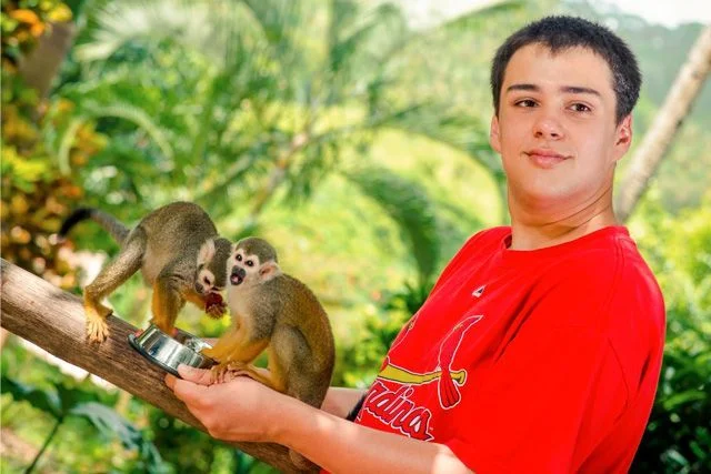 Opičí háj 3 Opičí háj - Obrázek 3
