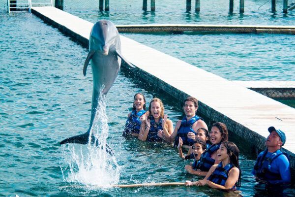 plavani s delfiny3 Caracol výlety